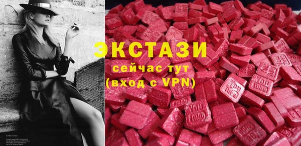 ECSTASY Гусь-Хрустальный