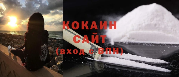 спайс Пересвет