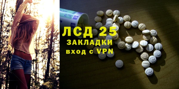 спайс Пересвет