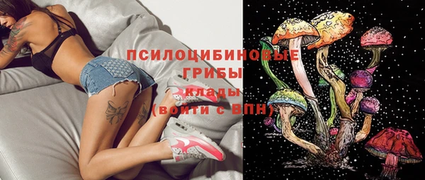 mdpv Пестово