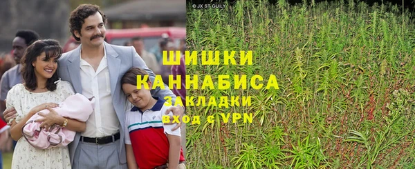 спайс Пересвет
