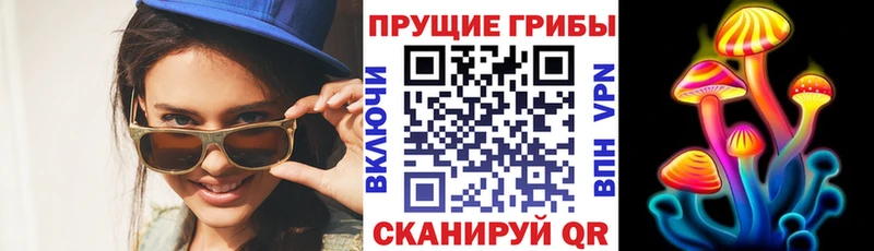 мориарти Telegram Агидель Псилоцибиновые грибы Psilocybe